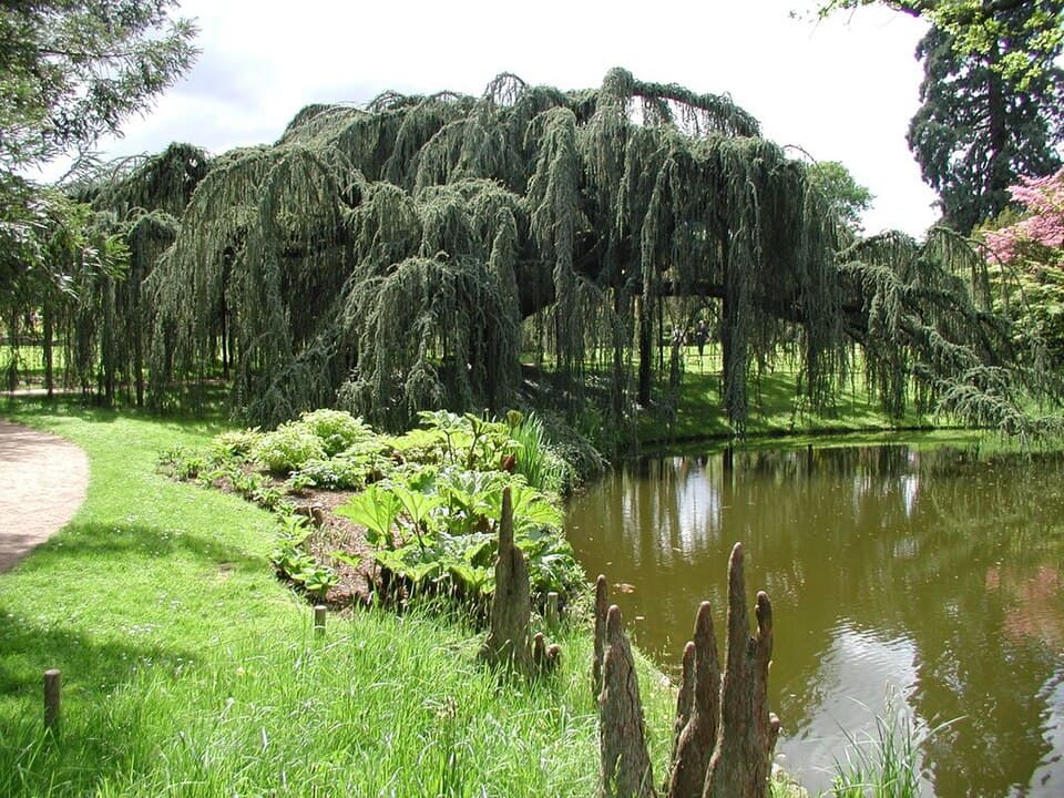 Arboretum de la Vallée-aux-Loups, Châtenay-Malabry