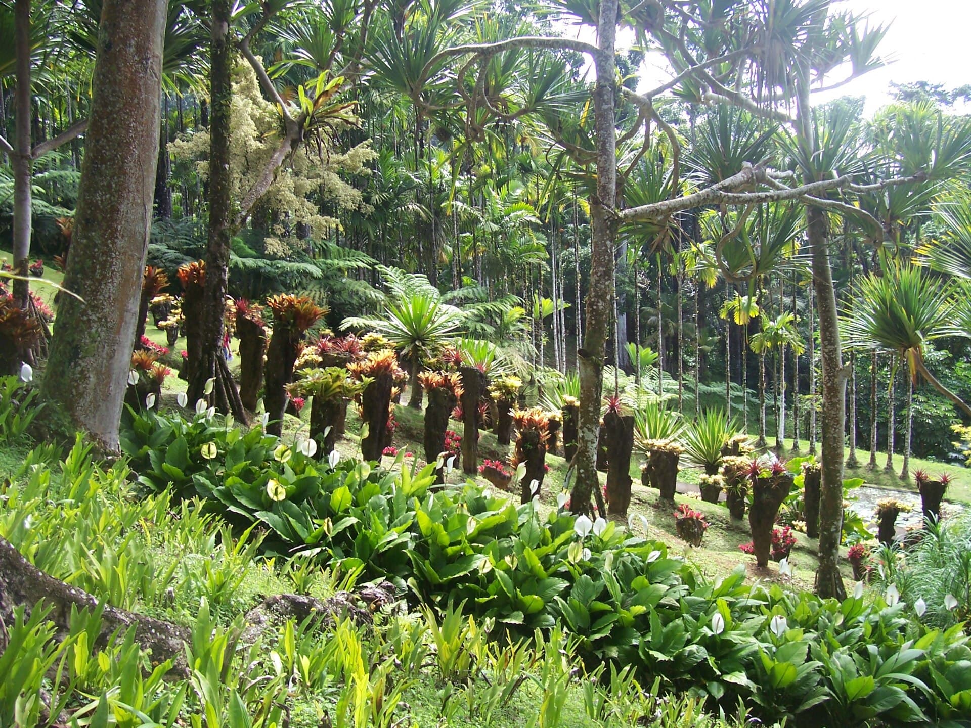 Jardin de Balata, Fort-de-France