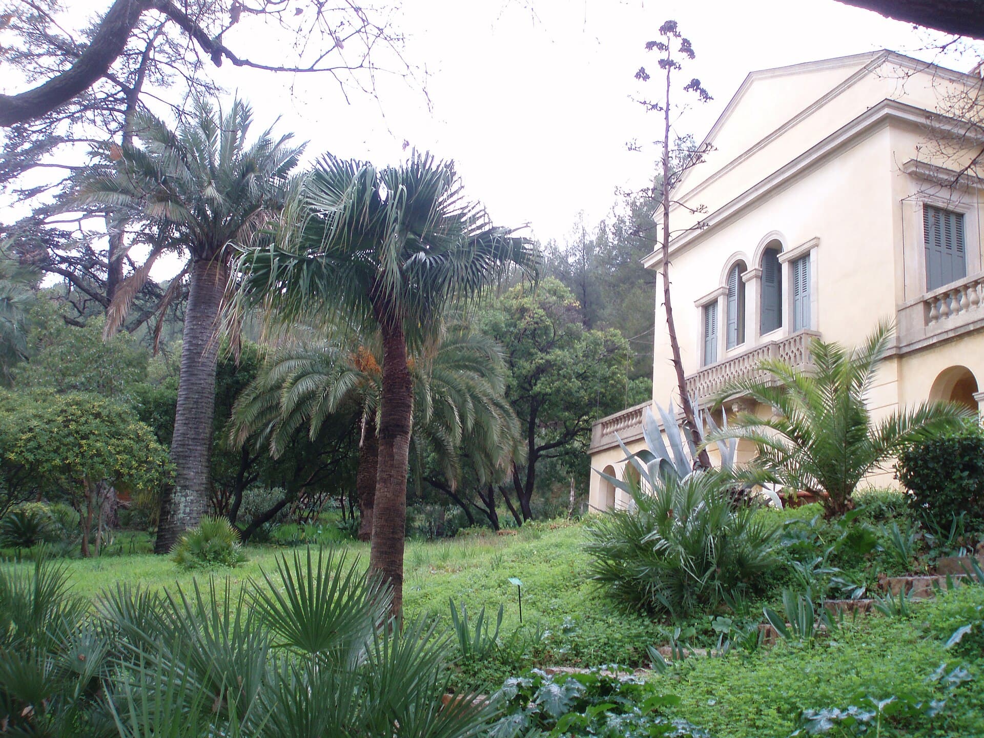 Le Plantier de Costebelle, Hyères