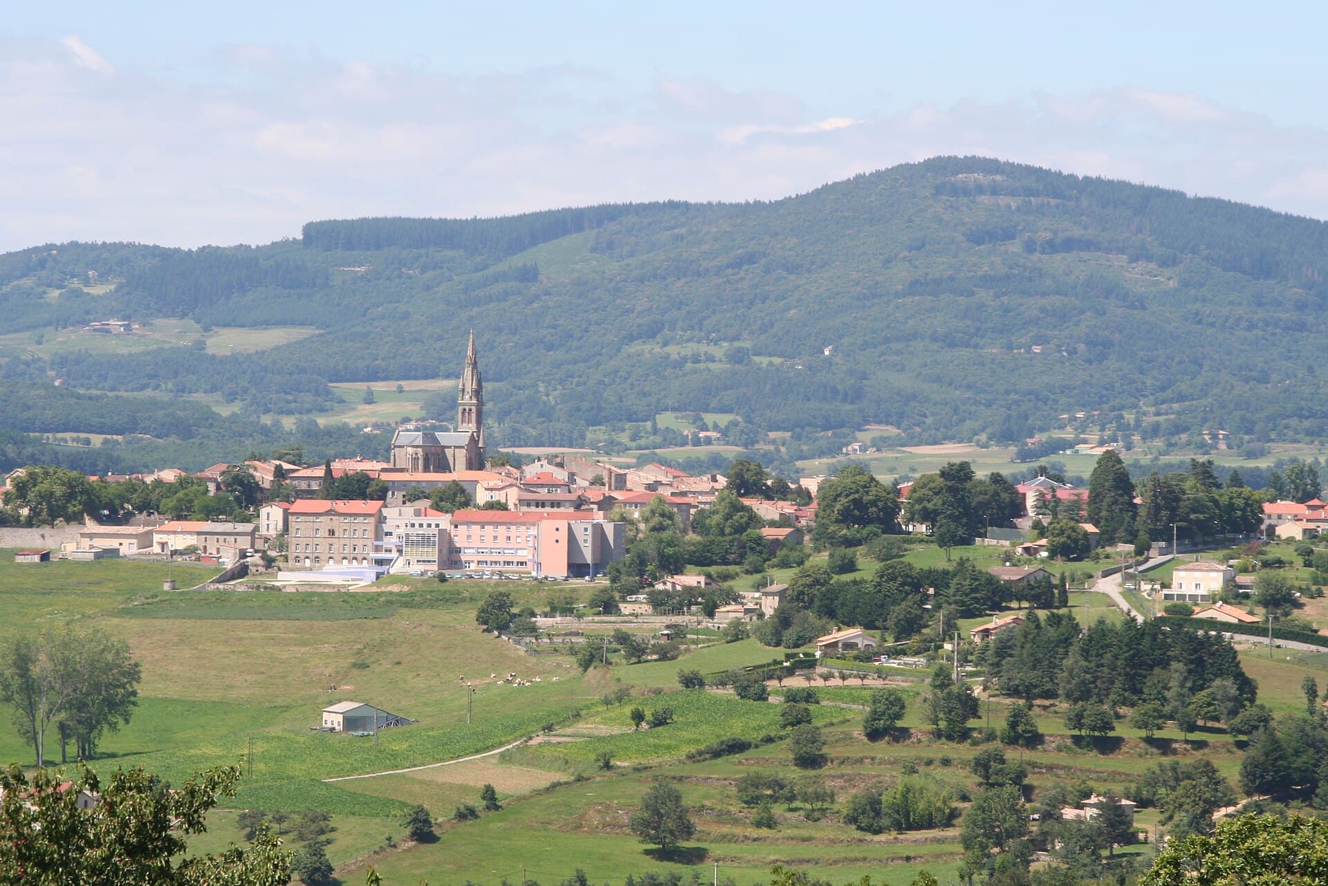 Vue de Vernoux-en-Vivarais