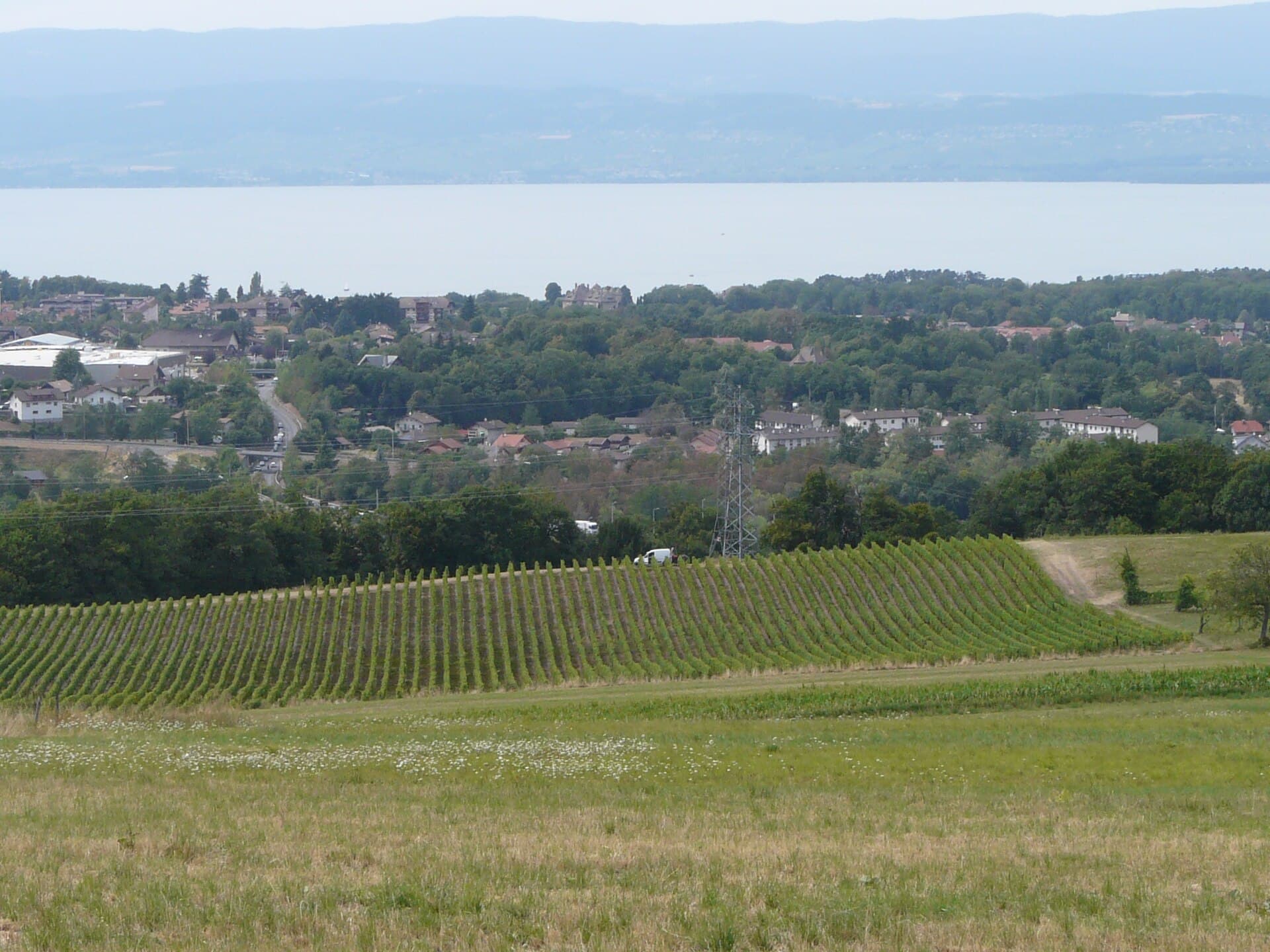 Vue de Marin