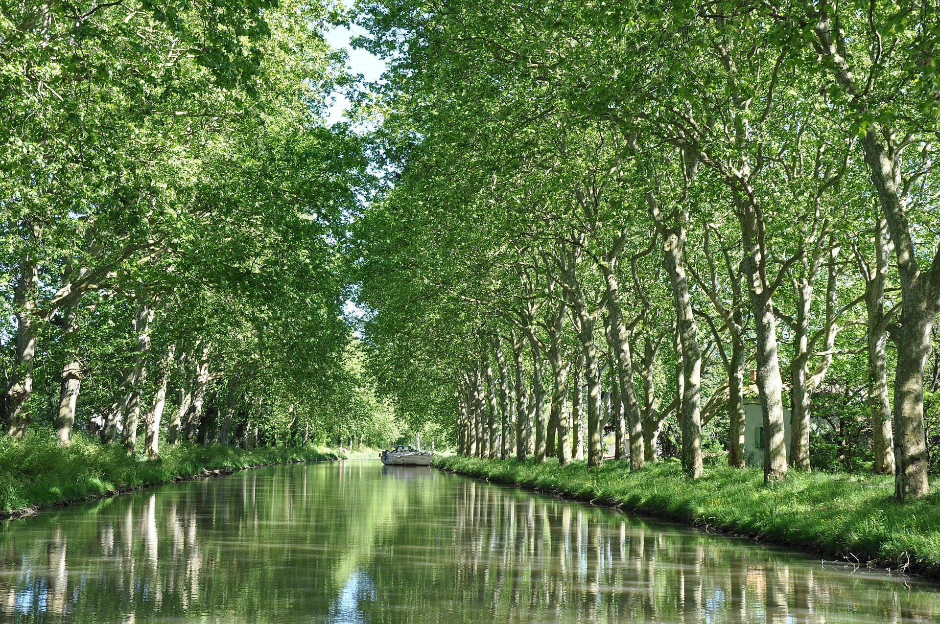 Canal du Midi, Carcassonne