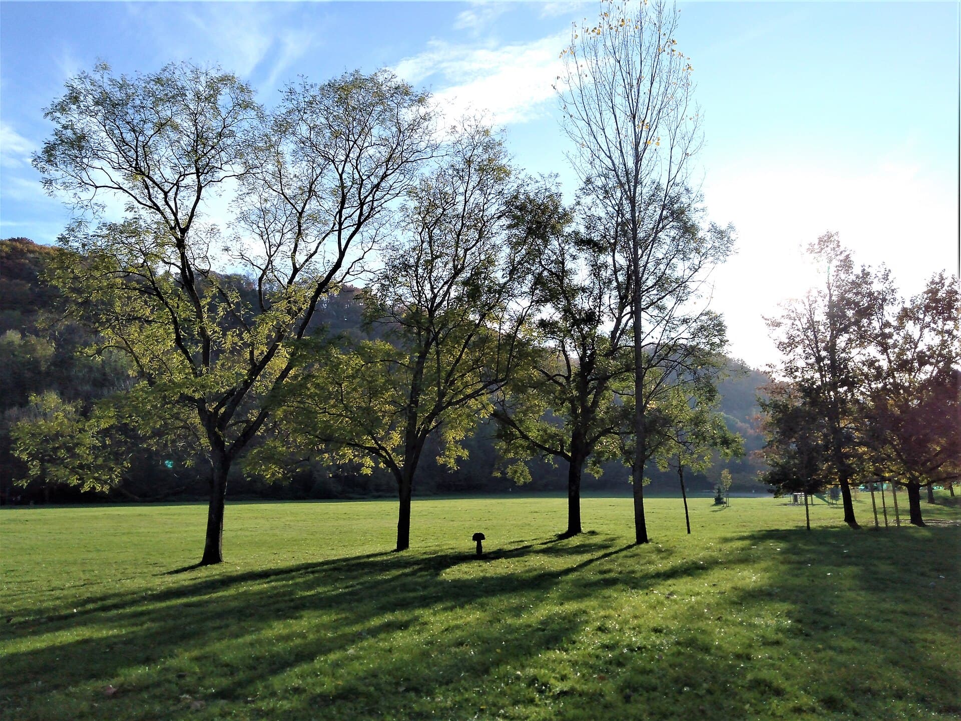 Le parc Robert-Buisson à Échirolles