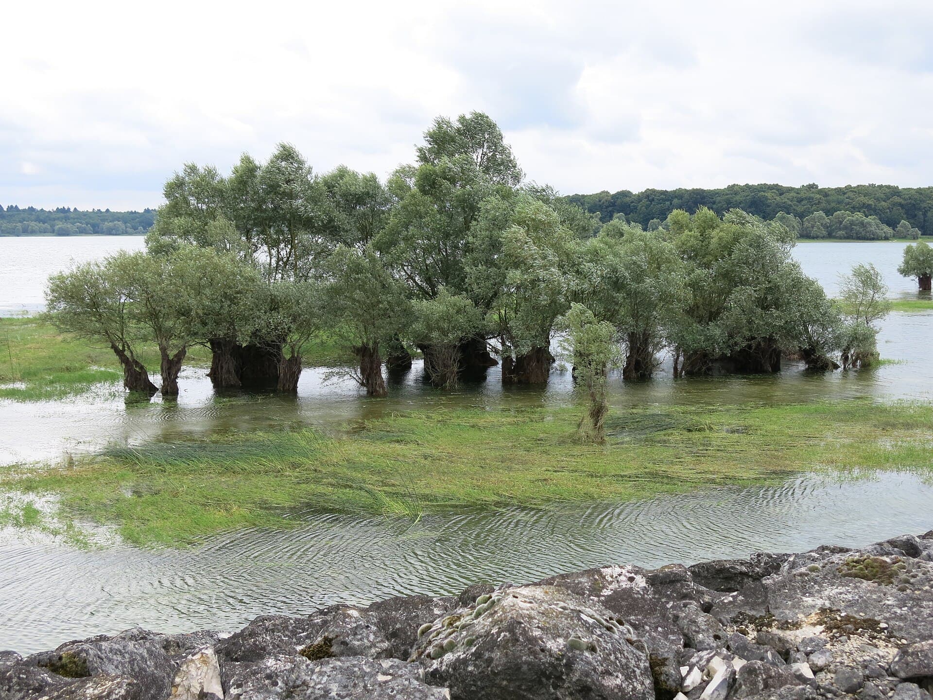 Étangs de la Champagne humide, Eurville-Bienville